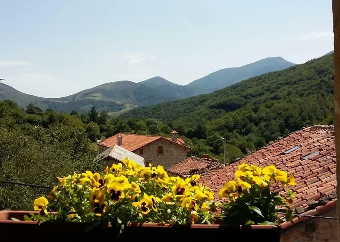 La Escuelona 아파트 *